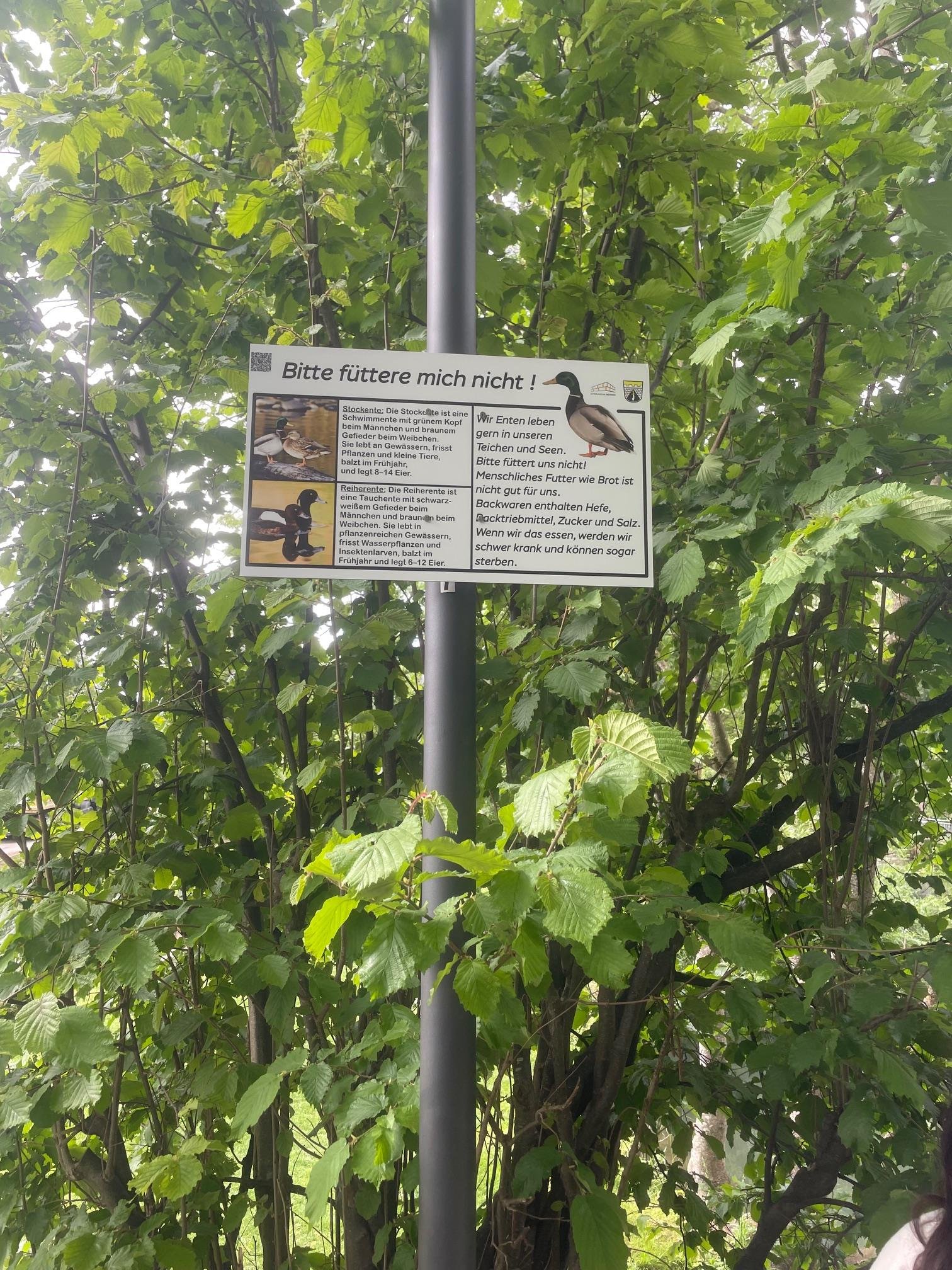 Naturpfad1