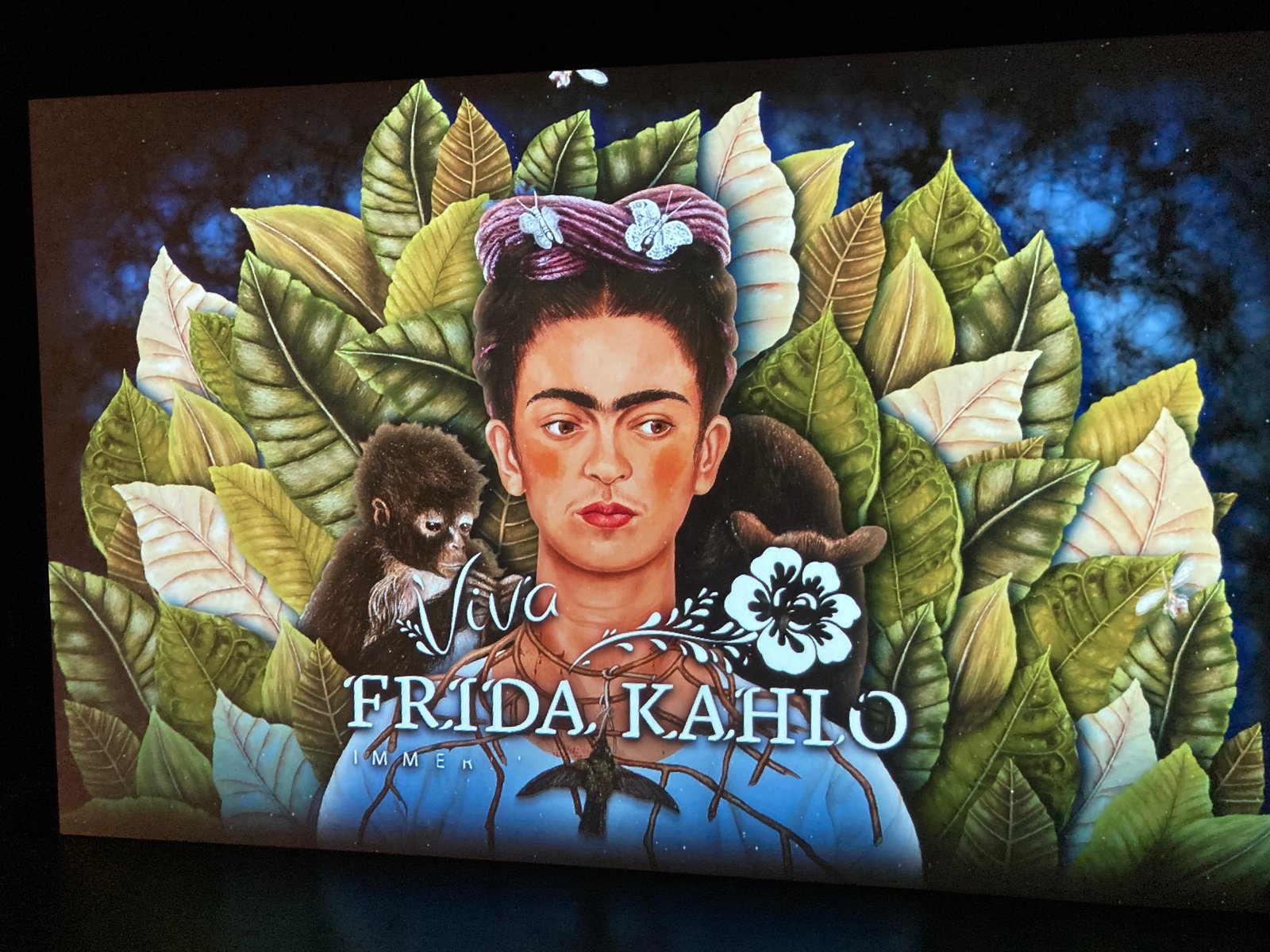 Frida1
