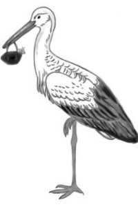 20210212_092721.png