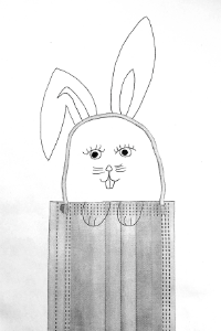 SophieTrankl_9d.png