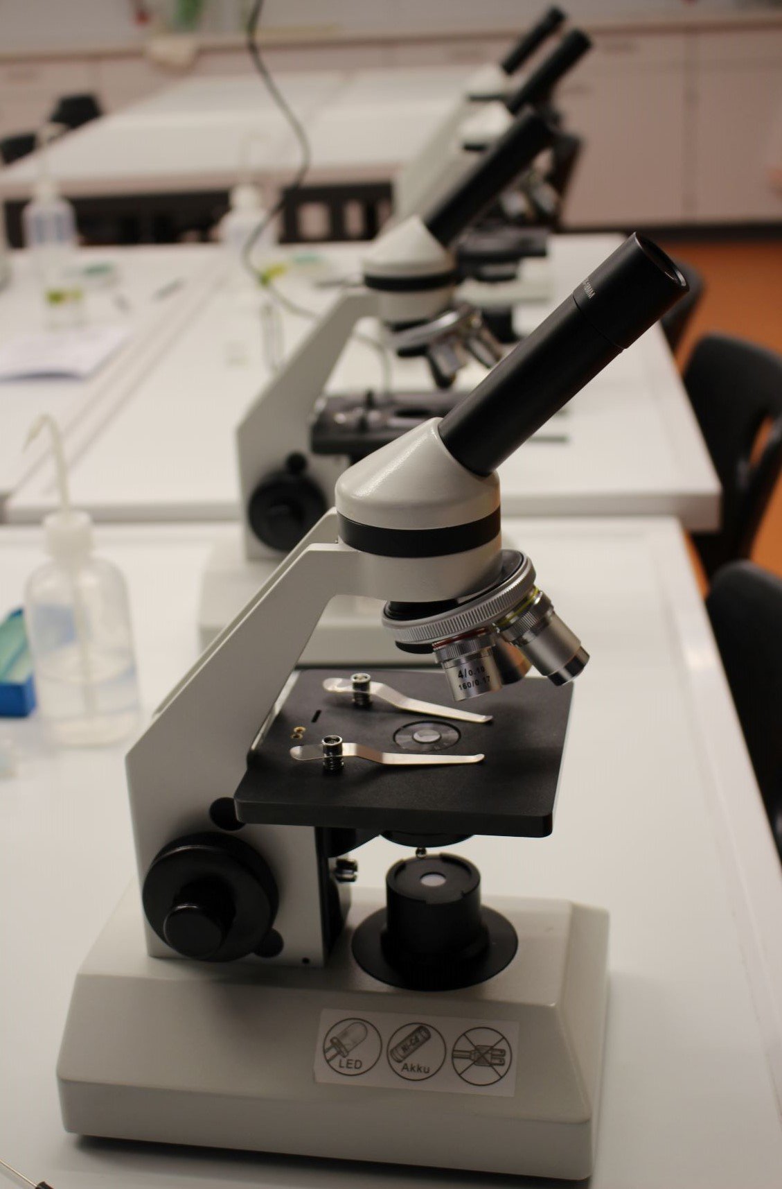 Bio11